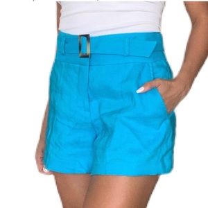 VERONICA BEARD summery turquoise linen shorts
